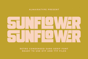 Sunflower Font – Free Sans Serif Display Typeface Download